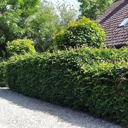 Hyggehus Humptrup