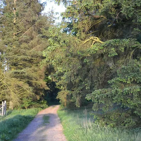 Hyggehus Ferienhaus